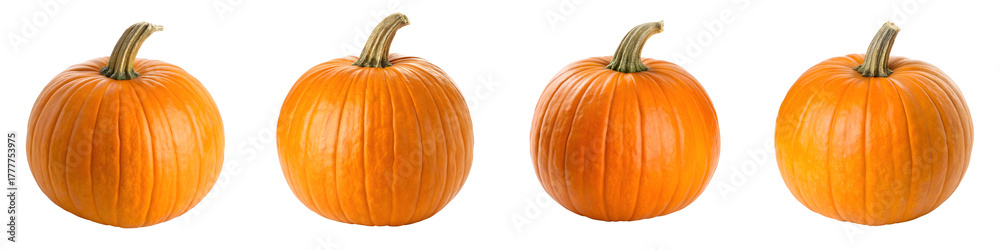 Obraz premium Four orange pumpkins isolated on transparent background, studio shot