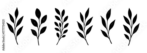 Minimal botanical silhouettes of leafy branches in simple monochrome style. Elegant vector illustration for nature, organic and floral compositions