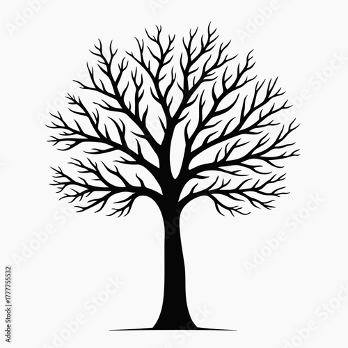Black silhouette of a bare winter tree. Minimalist nature icon for seasonal or environmental design. Graphic element isolated on a white background