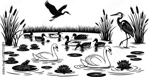 A serene pond scene with swans ducks and a heron isolated on white background