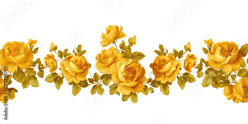 Bright Yellow Rose Flower Border on Transparent Background for Floral Designs