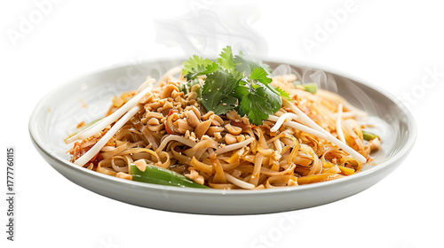 Steaming Pad Thai Plate Delight