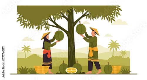 People Harvesting Durian Fruits Under the Tree In A Rural SouthEast Asian Village