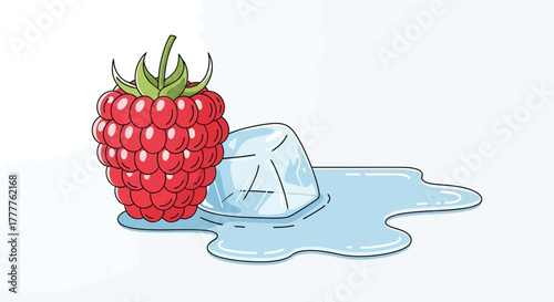 Raspberry Beside Melting Ice Cube: A Refreshing and Simple Vector Illustration
