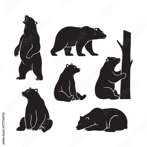 Set of Bear Silhouettes Walking and Standing Vector Illustration