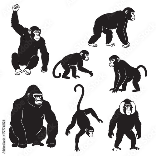 Set of Monkey Silhouettes Swinging and Sitting Vector Illustration