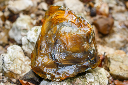 Gleaming wet flint rock with distinctive Liesegang bands, showcasing earthy amber and grey tones. A raw, natural geological specimen in a subtle outdoor setting