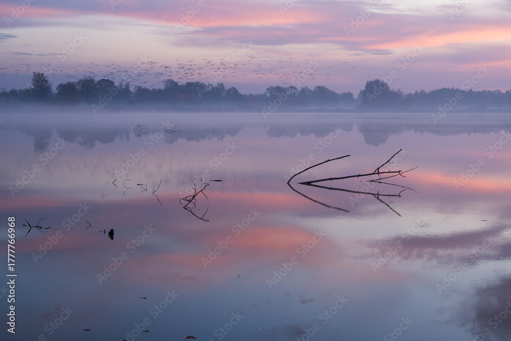 Naklejka premium Jesienny wschó słońca we mgle, nad wodą.
