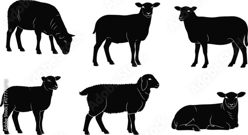 Sheep silhouette vector set, grazing sheep illustration, farm animal artwork, black livestock graphic, wool sheep design, decorative countryside drawing collection