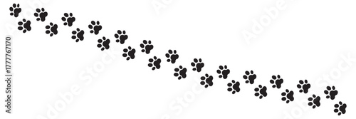 Paw print of dog isolated on transparent background. cat paw print. cat walk foot print. Paw print of dog.