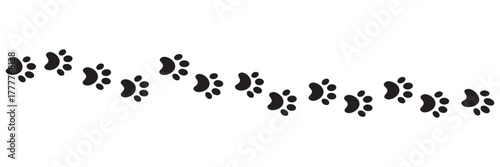 Paw vector foot trail print on white background. vector cat or Dog, path pattern animal tracks, isolated on white background.