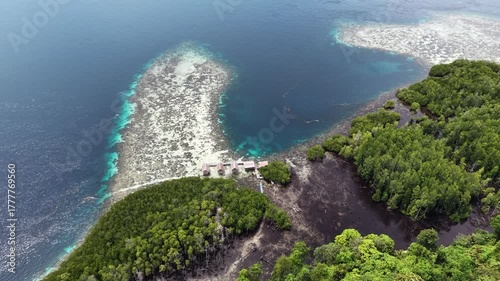Aerial view of a vibrant blue lagoon surrounded by coral reefs and dense coastal jungle in Raja Ampat, Indonesia.	
