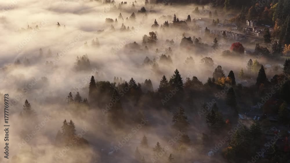 Mist flows through the forests surrounding Portland, Oregon. This scenic Pacific Northwest region is known for its vast forests and rugged Cascade mountains.