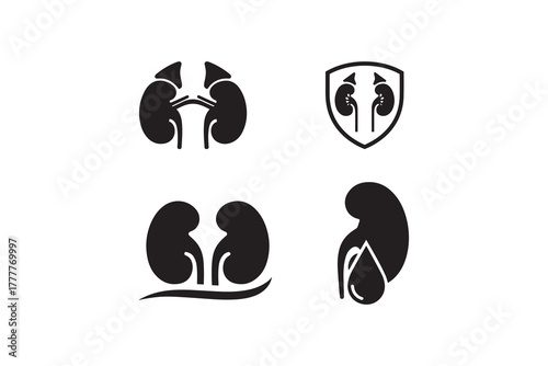 Kidney anatomy silhouette icon collection Human kidney organ black and white design
