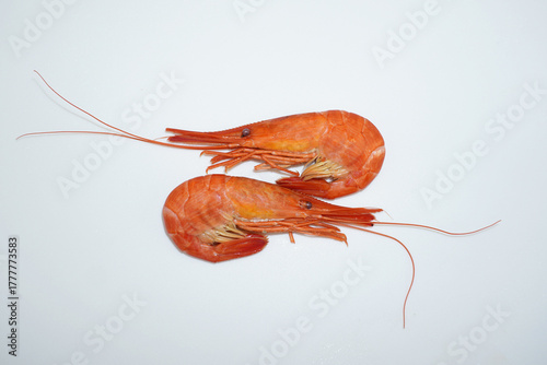 Two different shrimp on a white background. Top view, a pair of seafood with long antennae, minimal composition for the menu.