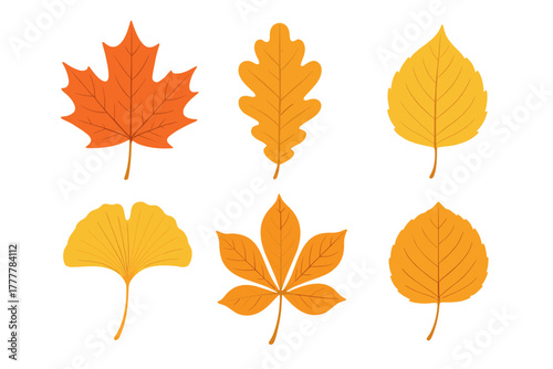 Six colorful autumn tree leaves including maple oak ginkgo and chestnut foliage
