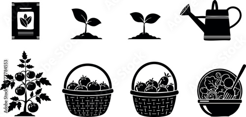 Tomato plant growth stages with seed packet, watering can, baskets of tomatoes and tomato salad vector illustration 