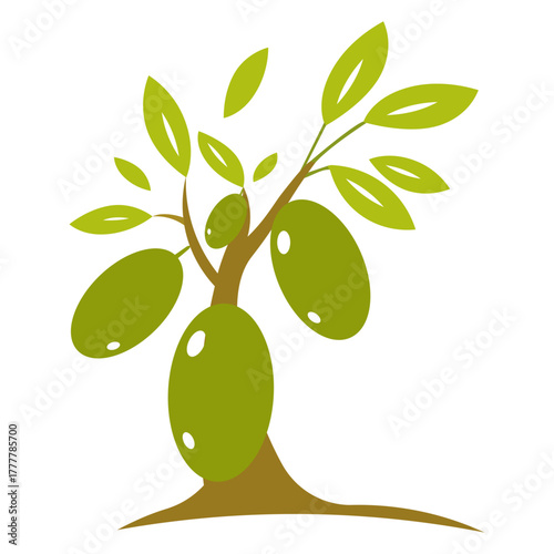 Olive tree icon design. Fresh green olives with leaves. Symbol of nature, healthy food, and Mediterranean diet.