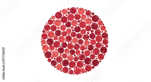 Vibrant Arrangement of Berries Creating a Circular Pattern Against a Pure White Background