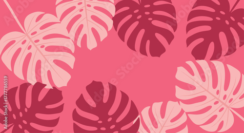Tropical summer background featuring a pattern of pink and magenta monstera deliciosa leaves creating a vibrant, exotic frame.