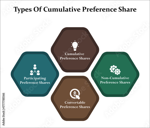Four types of cumulative preference share. Infographic template with icons and description placeholder