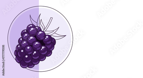 Vibrant Blackberry Illustration Inside A Circle On A Two-Toned Background Design
