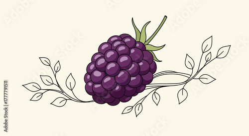 Vibrant Blackberry Illustration Featuring Leafy Sprigs And Playful Artistic Touches
