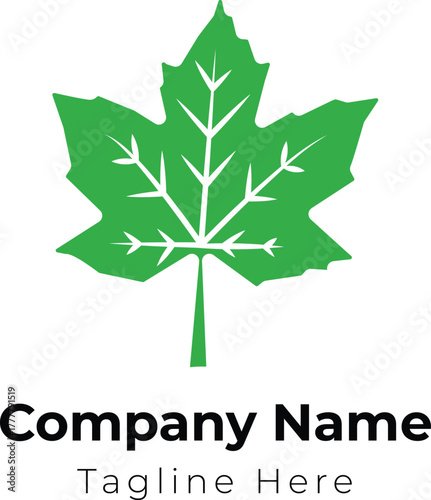 Nature leaf icon and symbol template vector