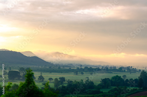 Beautiful view of morning light hitting fog,mountains, trees and green rice fields in the countryside in Chiang Rai. Northern Thailand.