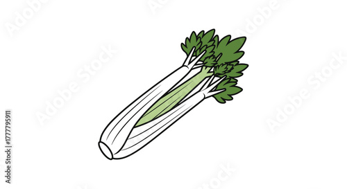 A crisp, fresh bunch of celery with vibrant green leaves, depicted in a clean, simple cartoon illustration style.