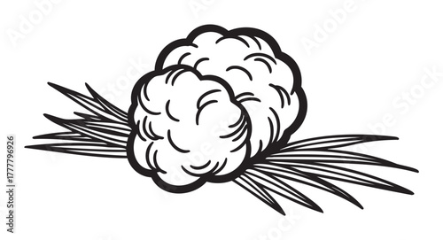 Black outline illustration of a cotton boll with detailed leaves, depicting the natural texture and structure of the plant.