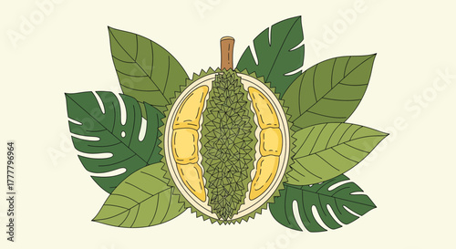 Vibrant Durian Fruit Surrounded By Tropical Leaves Isolated On A Light Background