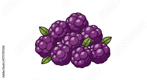 Vibrant Illustrated Berry Arrangement Suitable For Food, Health, And Wellness Applications