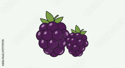 Vibrant Illustrated Blackberries Duo Against Clean Background, Minimalist Fruit Display