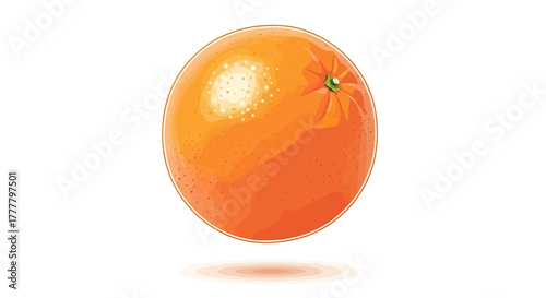 Vibrant Illustrated Citrus Fruit: A Fresh and Delightful Visual Appeal for Any Project