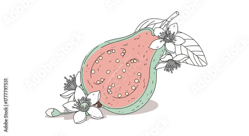 Vibrant Guava Slice With Delicate Blooms and Foliage Beautifully Illustrated
