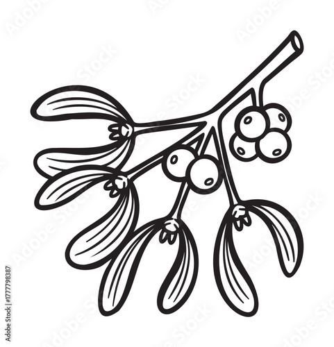 Black outline vector icon of a simple mistletoe branch with elliptical leaves and clusters of round berries representing holiday and nature concepts.