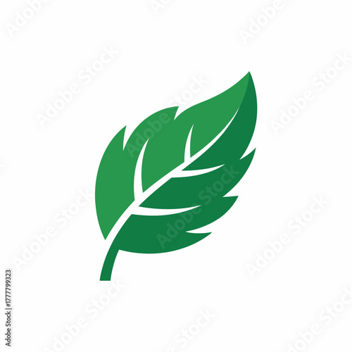 leaf, green, eco, nature, organic, plant, foliage, botanical, natural, environment, ecofriendly, sustainability, growth, herbal, garden, flora, fresh, clean, ecology, biodegradable, healthy, vegan, pu