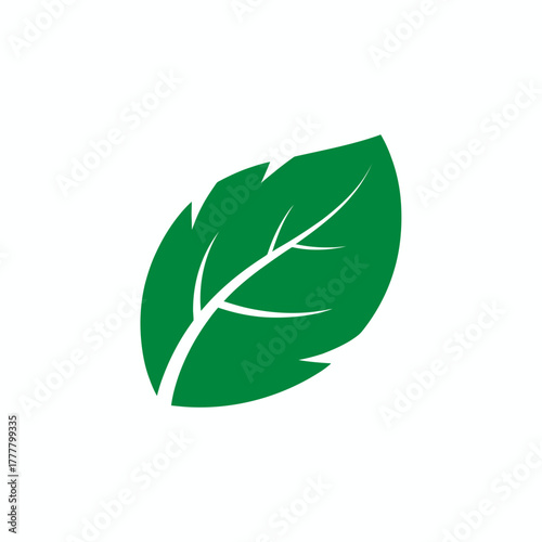 leaf, green, eco, nature, organic, plant, foliage, botanical, natural, environment, ecofriendly, sustainability, growth, herbal, garden, flora, fresh, clean, ecology, biodegradable, healthy, vegan, pu