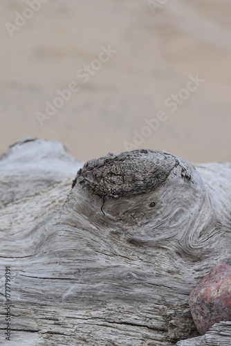 A typical bump on a log.