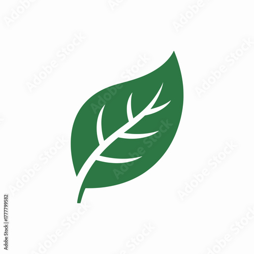 leaf, green, eco, nature, organic, plant, foliage, botanical, natural, environment, ecofriendly, sustainability, growth, herbal, garden, flora, fresh, clean, ecology, biodegradable, healthy, vegan, pu