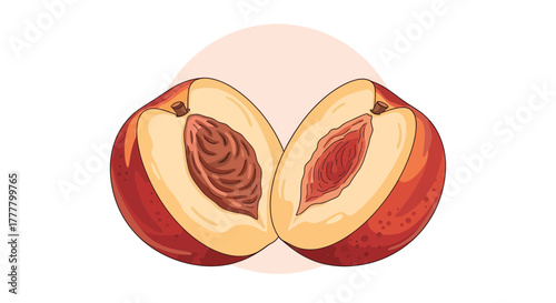 Vibrant Illustrated Peach, Halved, Revealing Stone and Juicy Flesh Against White