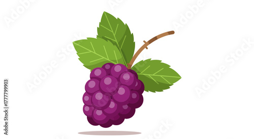 Vibrant Illustrated Purple Grapes With Verdant Leaves On A Plain White Background