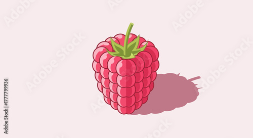 Vibrant Illustrated Raspberry Fruit Creation Set Against a Tonal and Minimalist Design