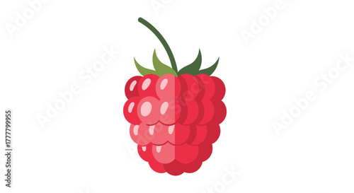 Vibrant Illustrated Raspberry Fruit Isolated Against a Clean White Background for Design