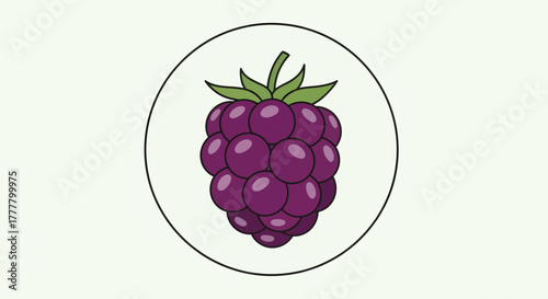 Vibrant Illustration of a Blackberry in a Circle, Perfect for Diverse Visual Applications
