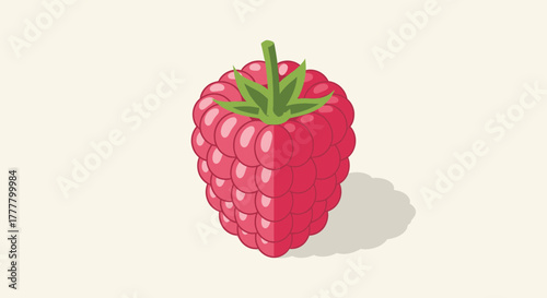 Vibrant Illustrated Raspberry Fruit Isolated on a Neutral Background Design Elements