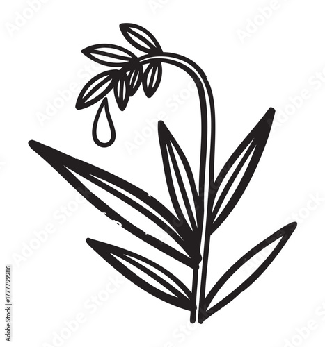 Black outline icon of a drooping flower with leaves and a falling droplet, conveying a sense of sorrow or melancholy.