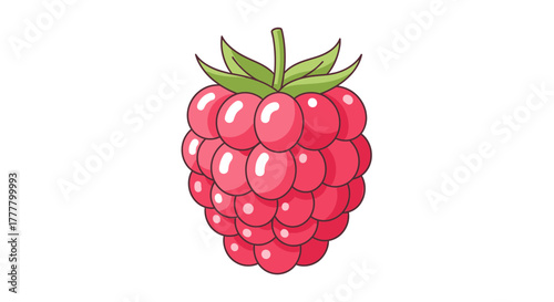 Vibrant Illustrated Raspberry Fruit Isolated on White Background with Foliage