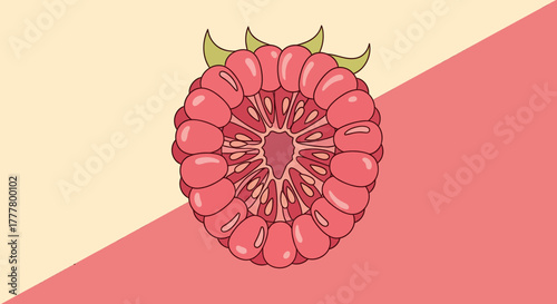 Vibrant Illustrated Raspberry Section On a Two-Tone Background Perfectly Rendered